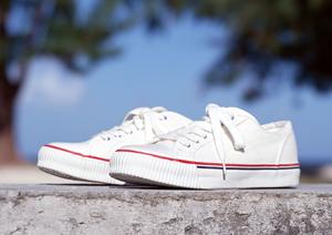 成人式は最新着物を低価格でレンタル